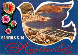 66* BANUYLS SUR MER CPM (10x15cm)                  MA65-0455 - Banyuls Sur Mer