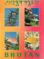 Bhoutan Poissons-Vissen- Fishes XX - Bhoutan