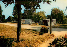 72* LOUE   Camping   CPM (10x15cm)                   MA65-0759 - Loue