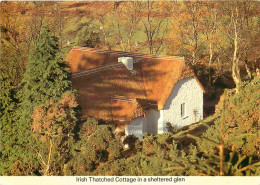 Irlande - Irish Thatched Cottage - Cardall Card - CPM - Voir Scans Recto-Verso - Other & Unclassified