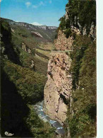 26 - Drome - Vercors - Les Grands Goulets - CPM - Voir Scans Recto-Verso - Les Grands Goulets