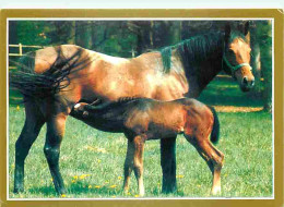 Animaux - Chevaux - La Passion Du Cheval - Photo Serge Farissier - Pouliche Et Son Poulain - Carte Neuve - CPM - Voir Sc - Chevaux