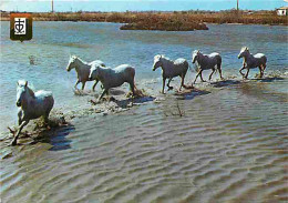 Animaux - Chevaux - Camargue - Cheveaux Camarguais Dans Les Etangs -Blasons - Flamme Postale - CPM - Voir Scans Recto-Ve - Pferde