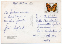 RWANDA - LE LAC KIVU A KIBUYE / THEMATIC STAMP-BUTTERFLY - Ruanda