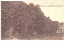 CPA 22 - GOUAREC (Côte D'Armor) - 4126. Les Vieux Murs Couverts De Lierre De L'Abbaye De BON-REPOS Près Gouarec - Gouarec