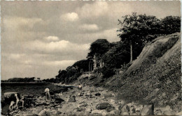 Seebad Eckernförde, Steilküste Bei Altenhof - Eckernfoerde