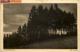 Bei Heiden - Morgendämmerung - Heiden