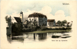 Weiden - Partie Beim Gymnasium - Künstler-AK Eugen Felle - Weiden I. D. Oberpfalz