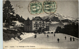 Leysin - Le Patinage Et Pic Chaussy - Leysin