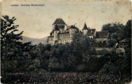 Liestal, Schloss Wildenstein - Liestal