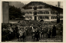 Alp-Abtrieb In Oberstaufen - Oberstaufen