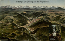 Triberg Und Umgebung- Künstler - AK Eugen Felle - Triberg