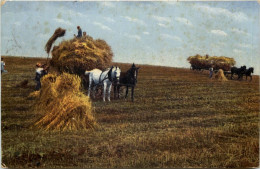 Landwirtschaft Pferdegespann - Attelages