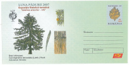 IP 2007 - 9 Chinese FIR, Romania - Stationery - Unused - 2007 - Naturaleza