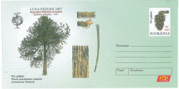 IP 2007 - 10 YELLOW PINE, Romania - Stationery - Unused - 2007 - Naturaleza