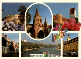 Ingolstadt, Landesgartenschau Div.Bilder - Ingolstadt