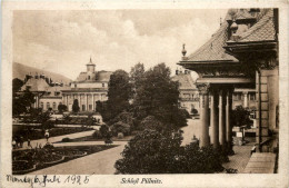 Schloss Pillnitz - Pillnitz