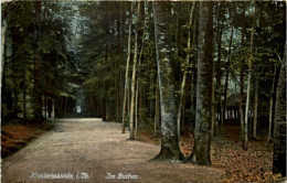 Klosterlausnitz - Im Buchen - Bad Klosterlausnitz