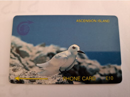 ASCENSION ISLAND/ GPT CARD /   10 Pound Bird Stern  2CASB   MINT Old  Logo C&W **16502** - Isole Ascensione