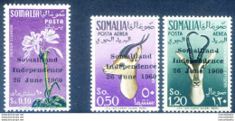 Indipendenza 1960. - Somalie (1960-...)