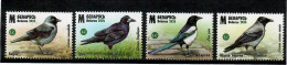 Belarus  2024 . Birds Of Belarus. Corvids. 4v. - Bielorussia