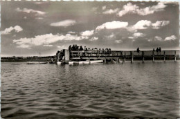 Federsee Bei Buchau - Biberach