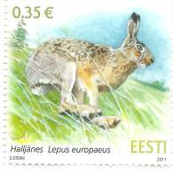 Estonia 2011 MNH Stamp European Brown Hare ,Rabbit - Estonia