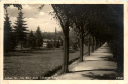 Löbau, Am Weg Zum Löbauer Berg - Loebau