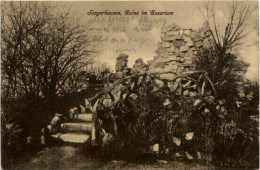 Sangerhausen, Ruine Im Rosarium - Sangerhausen