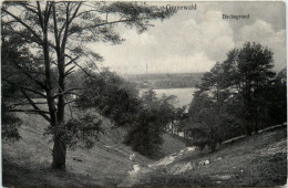 Grunewald, Dachsgrund - Grunewald