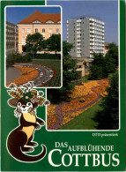 Cottbus, Bundesgartenschau 1995 - Cottbus