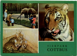 Cottbus, Div. Bilder, Tierpark - Cottbus
