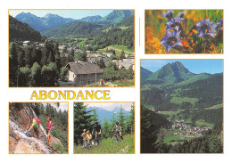 74-ABONDANCE-N°C-4361-B/0093 - Abondance