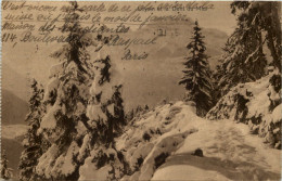 Leyin Et La Dent Du Midi - Leysin