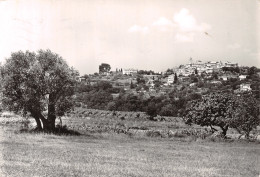 06-MOUGINS-N°C-4365-C/0239 - Mougins