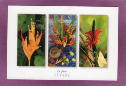 97 973 Fleurs De GUYANE  Photo Thierry Montford - Autres & Non Classés