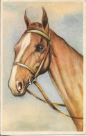 CP ILLUSTREE CHEVAL. 1959. - Chevaux