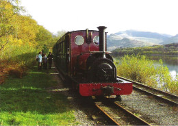 ELIDIR AT PANLLYN STATION, LLANBERIS LAKE RAILWAY, SNOWDONIA, WALES. UNUSED POSTCARD M3 - Stations With Trains