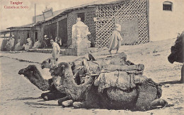 Maroc - TANGIER Tanger - Camels At Soco - Ed. V. B. Cumbo  - Tanger