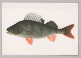 PESCE Animale Vintage Cartolina CPSM #PBS857.IT - Fish & Shellfish