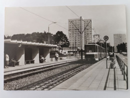 Potsdam, Tatra Strassenbahn Der Linie 6, Max-Born-Straße, Tram, 1983 - Potsdam