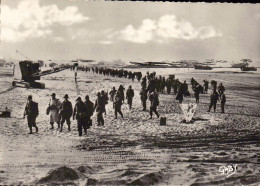 Débarquement En Normandie - Arrivée De La 9ème Armée US Aérienne En Normandie (photo Véritable) - Weltkrieg 1939-45