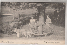 Coin De Tervueren , Près De L'étang Robiano ,( Attelage De Chien Tirant Une Brouette )  édit E Grégoire Série 6 N° 9 - Tervuren