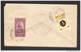 NEPAL Postal History Cover On King Of Nepal, Local Used 1986 - Népal