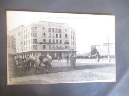 MAROC CASABLANCA PLACE DE FRANCE CHEVAL - Casablanca