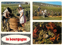 Vignes - Bourgogne - Multivues - Vendanges - CPM - Voir Scans Recto-Verso - Vignes