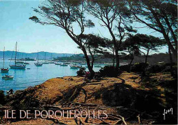 83 - Ile De Porquerolles - Carte Neuve - CPM - Voir Scans Recto-Verso - Porquerolles