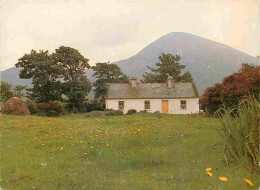 Irlande - Crough Patrick Mountain - Thatched Cottage - Real Ireland Card - CPM - Voir Scans Recto-Verso - Other & Unclassified