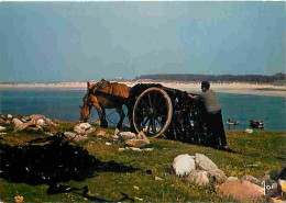 Animaux - Chevaux - Récolte Du Geomon - Flamme Postale De Plomodiern - Bretagne - CPM - Voir Scans Recto-Verso - Pferde