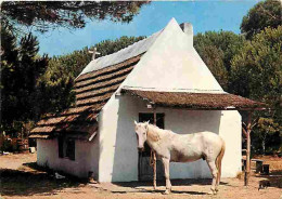 Animaux - Chevaux - Camargue - Cabane Du Boucanet En Petite Camargue  - Etat Pli Visible - CPM - Voir Scans Recto-Verso - Chevaux